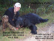 David Olmstead 08/26/03, 412 lb. bear (click to enlarge)