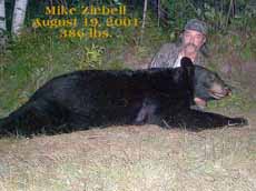 Mike Ziebell 08/19/01, 386 lb. bear (click to enlarge)