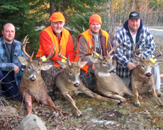 Bush & Graham Group, 11/11/08 - click to enlarge