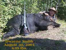 Dwayne Smith 08/30/01, 639 lb. bear (click to enlarge)